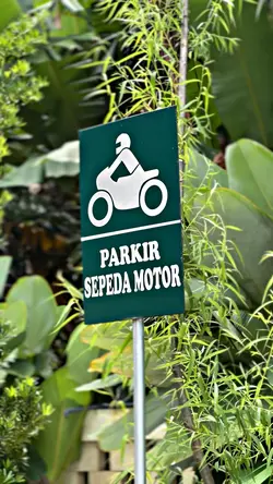 12CLIPS TREND TIKTOK