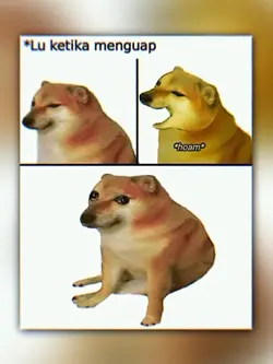 Story 