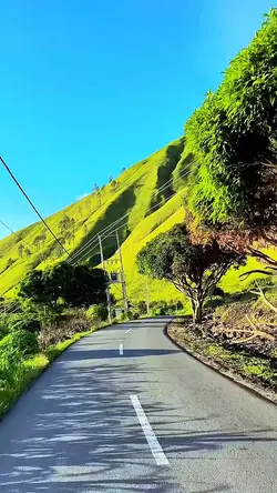 5 video HD 