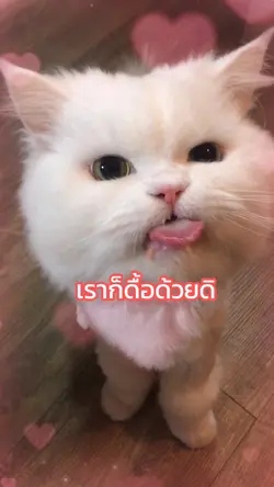 ว้าวุ่นเลยทีนี้