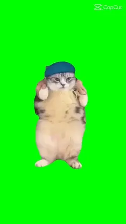 zielone tło z kotem