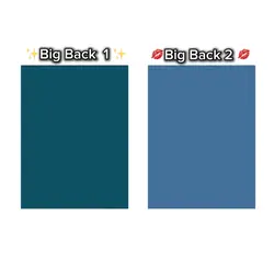 BIGBACK 1&2 🥘🍜🍱🍛