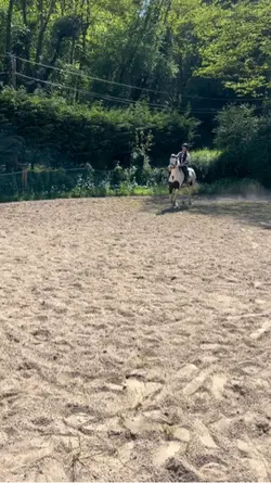 Ralentit cheval 