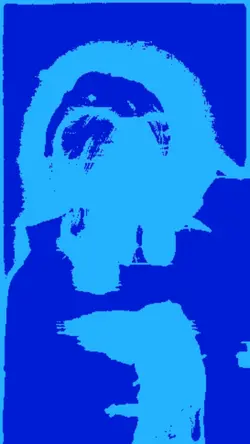 Opening Beginnings T