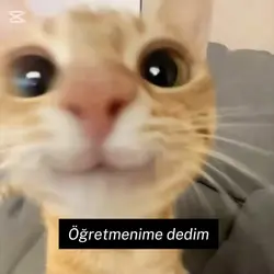 Bıdaha attım 