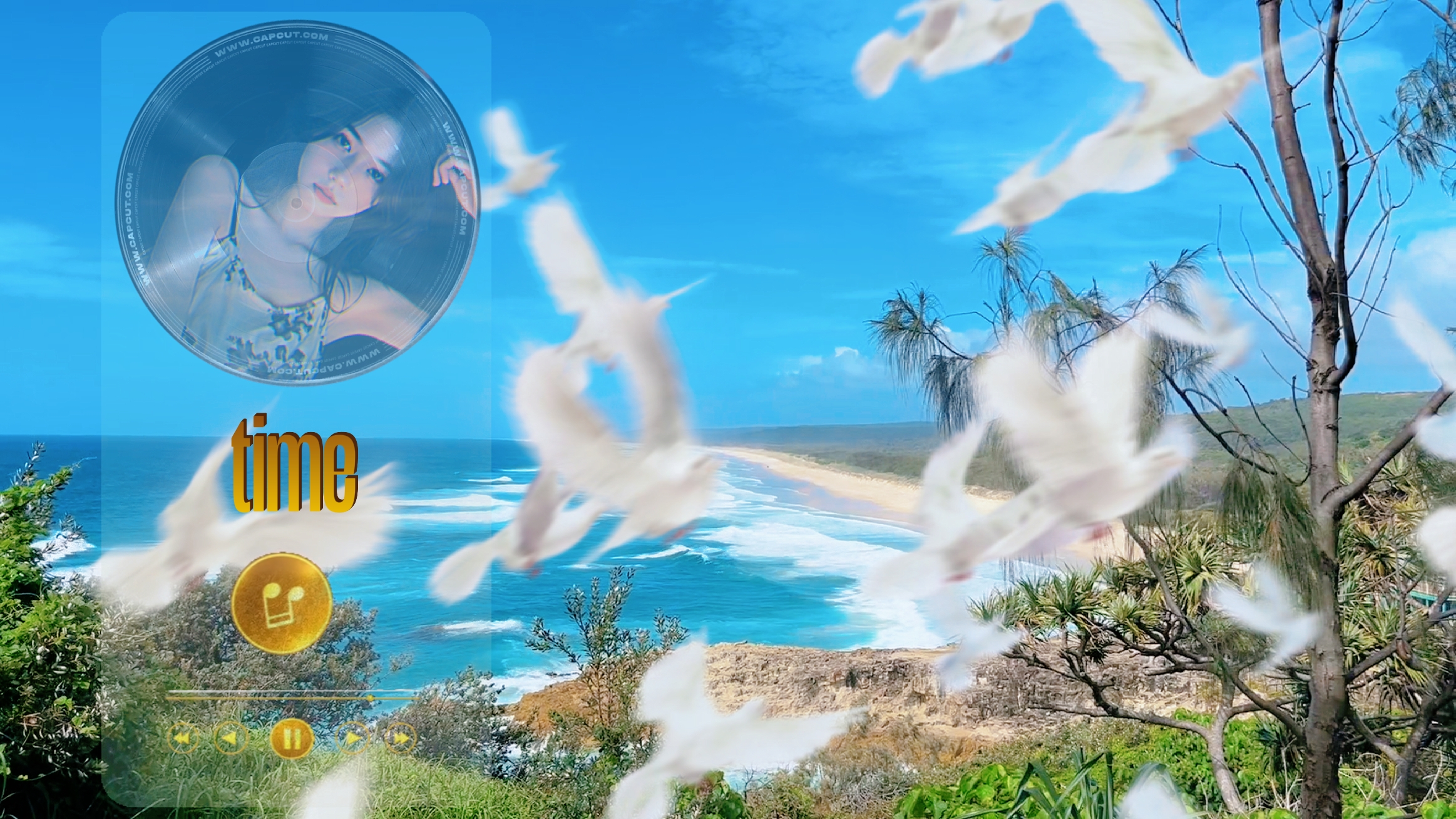 Song-Clip 