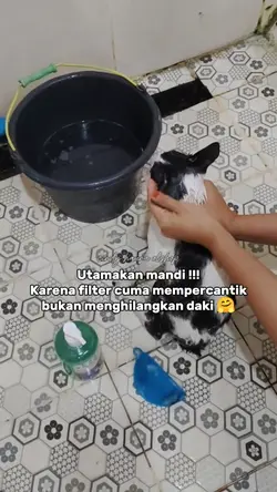 mandi dulu 