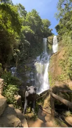 Sa ilalim ng liwanag