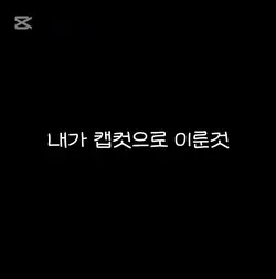 내가 캡컷으로 이룬것