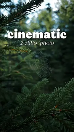 cinematic 2 vidio