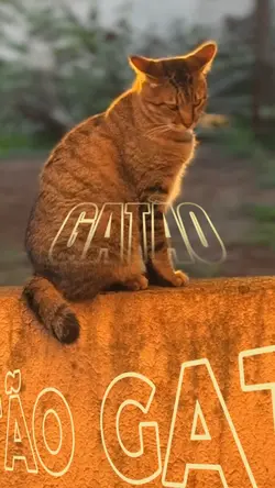 Modelo de Fontentes