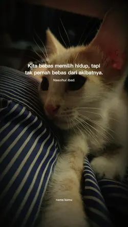 renungkan