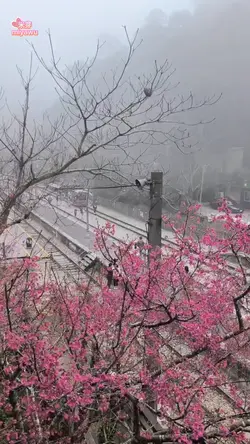 我曾像傻子一樣愛你