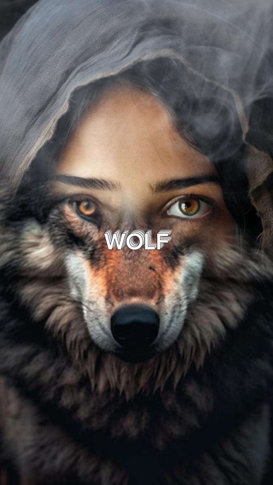 Wolf Übergang 