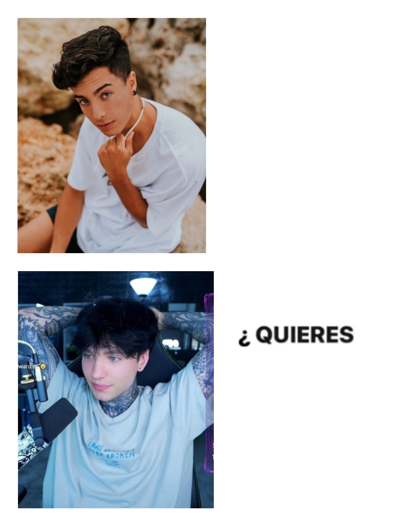 yo hice la plantilla