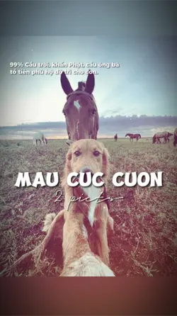 2 ẢNH GIẬT NHẸ