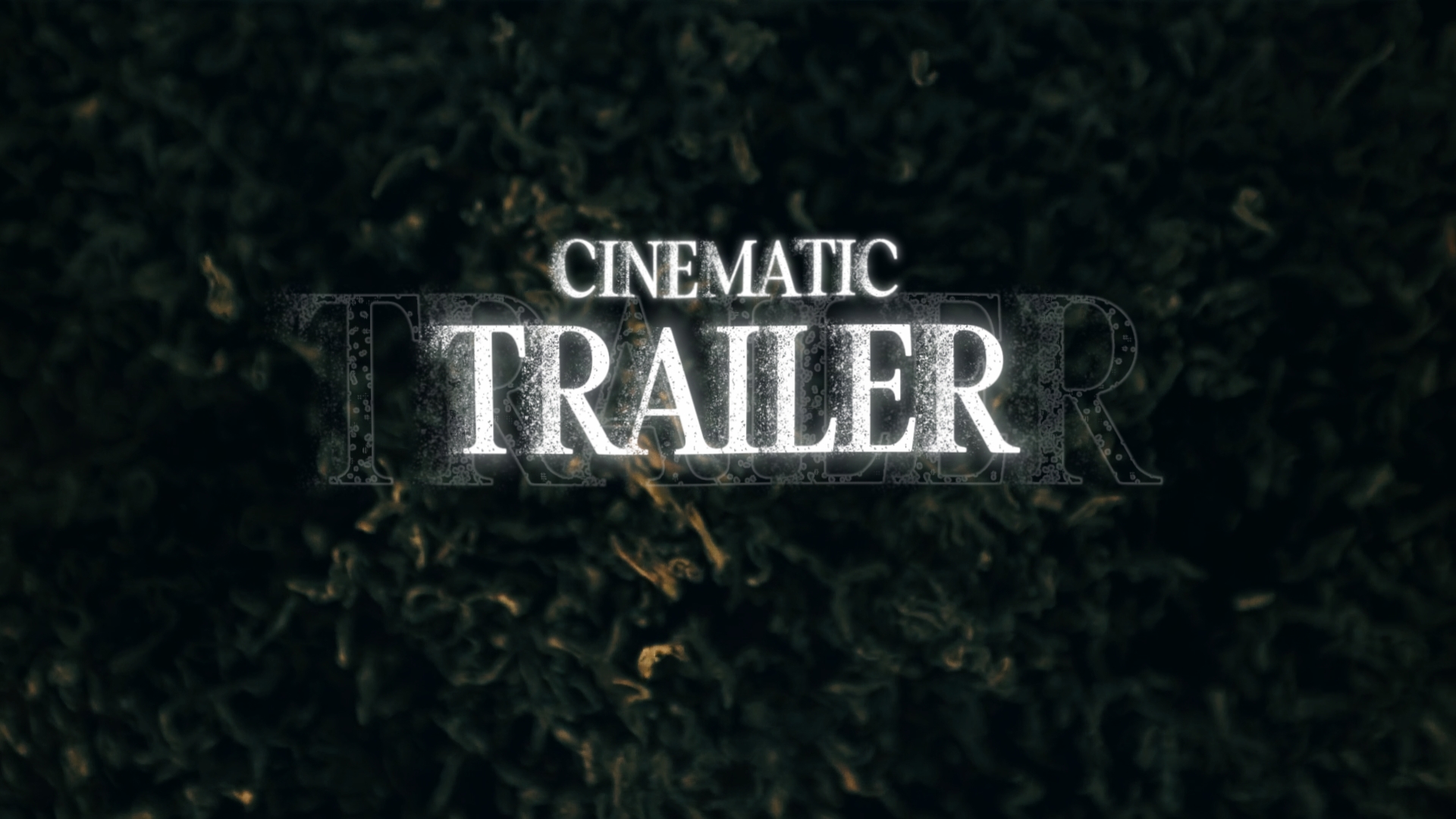 bande-annonce 16 : 9
