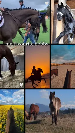 my favourite hobby