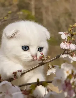 can I eat this?