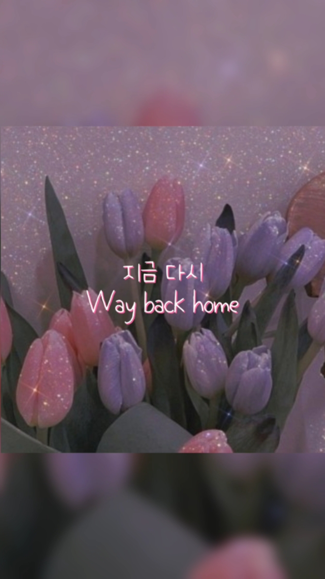 사진 2장으로 템플릿 사용해보세요!