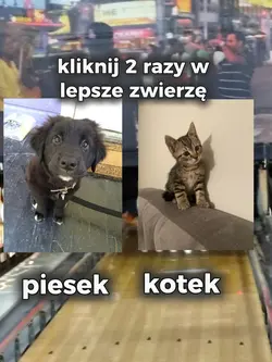 kliknij 2 razy 