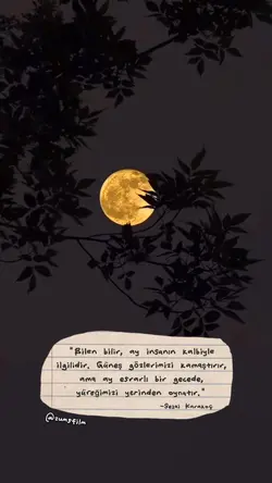 Gece Ay Şiir Story