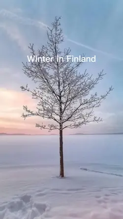Winter in Finland