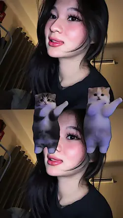trend kucing joget