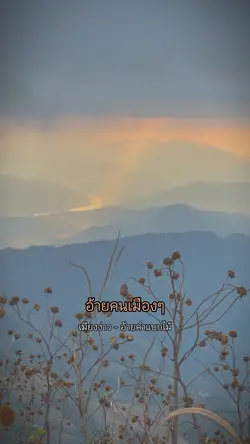 เมืองง่าว