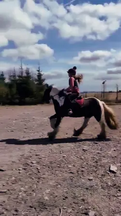 slow motion canter 