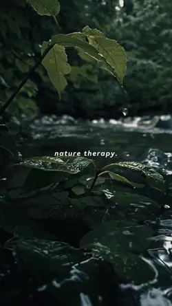 nature therapy