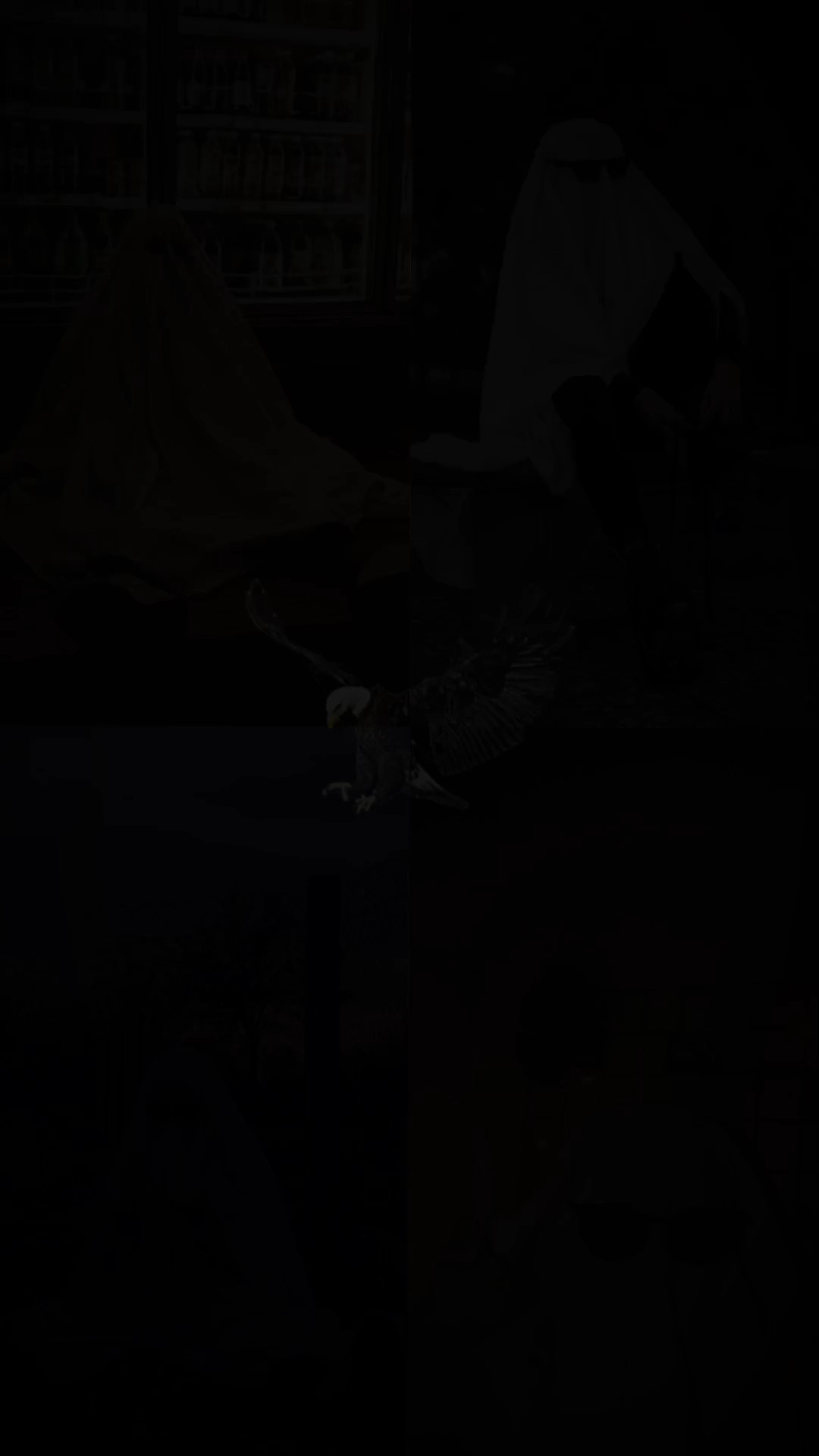 لـ شعراء العراق 