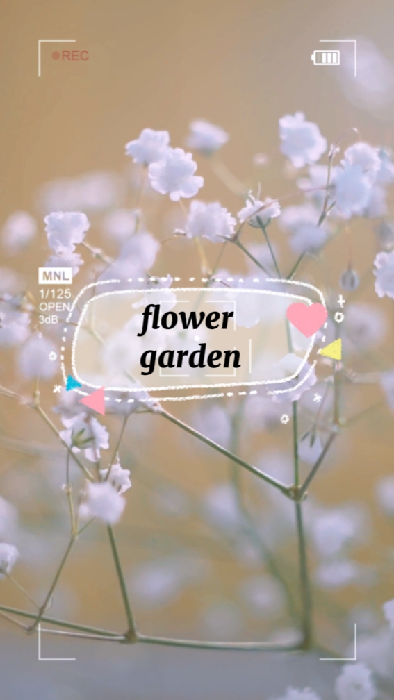 flower garden