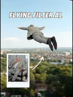 Fly filter Al 