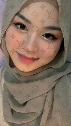 louis vuitton filter