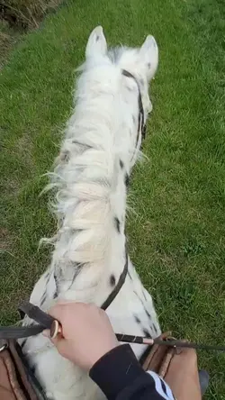 Ausreiten