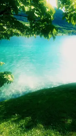 Nature Cinematic
