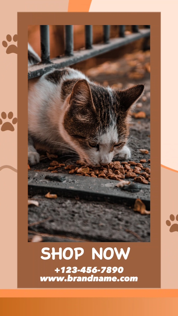 Alimentos para animais de estimação 
