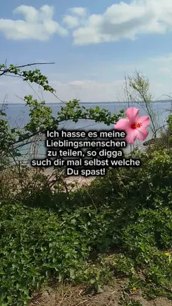meine fav