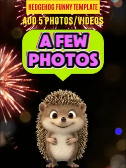 Hedgehog