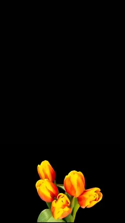 blumen