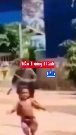 Mẫu Trưởng Thành