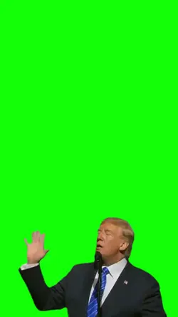 What You're Seeing