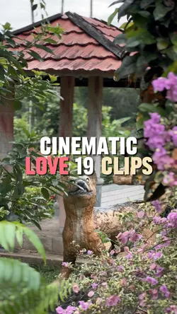 Love 19clips