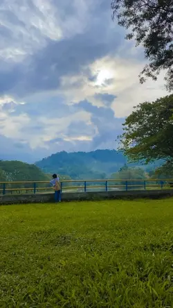 In side out song
