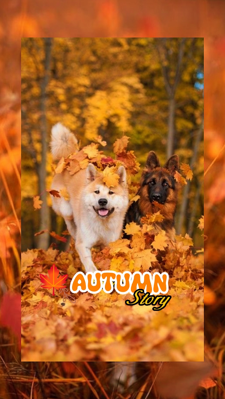 histoire d'automne