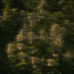 댓글에 Q&A 질문 써주십셔