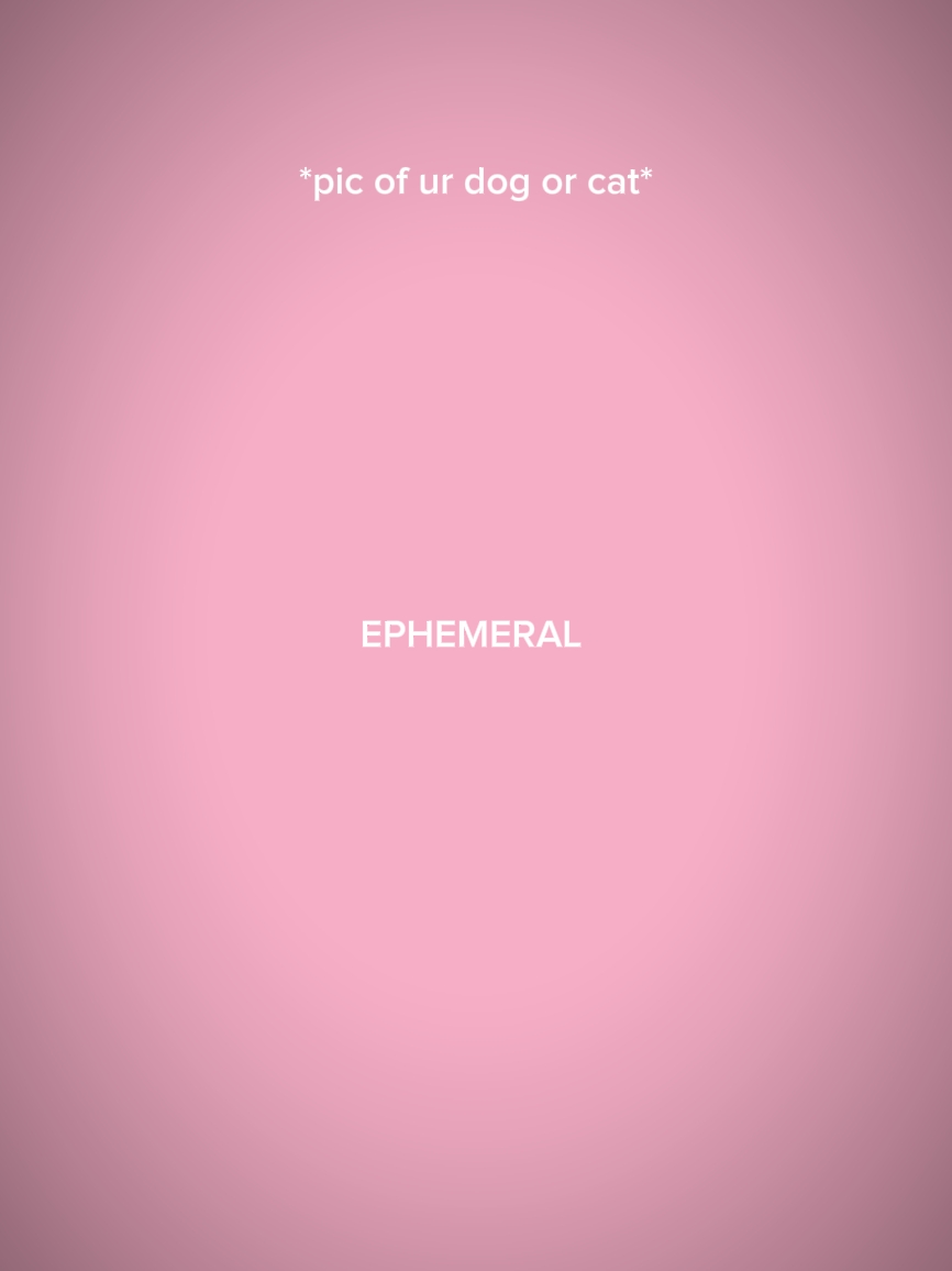 ÉPHÉMÉRALE 