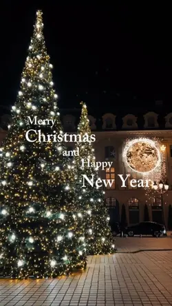 Christmas & New Year