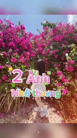 2 ảnh